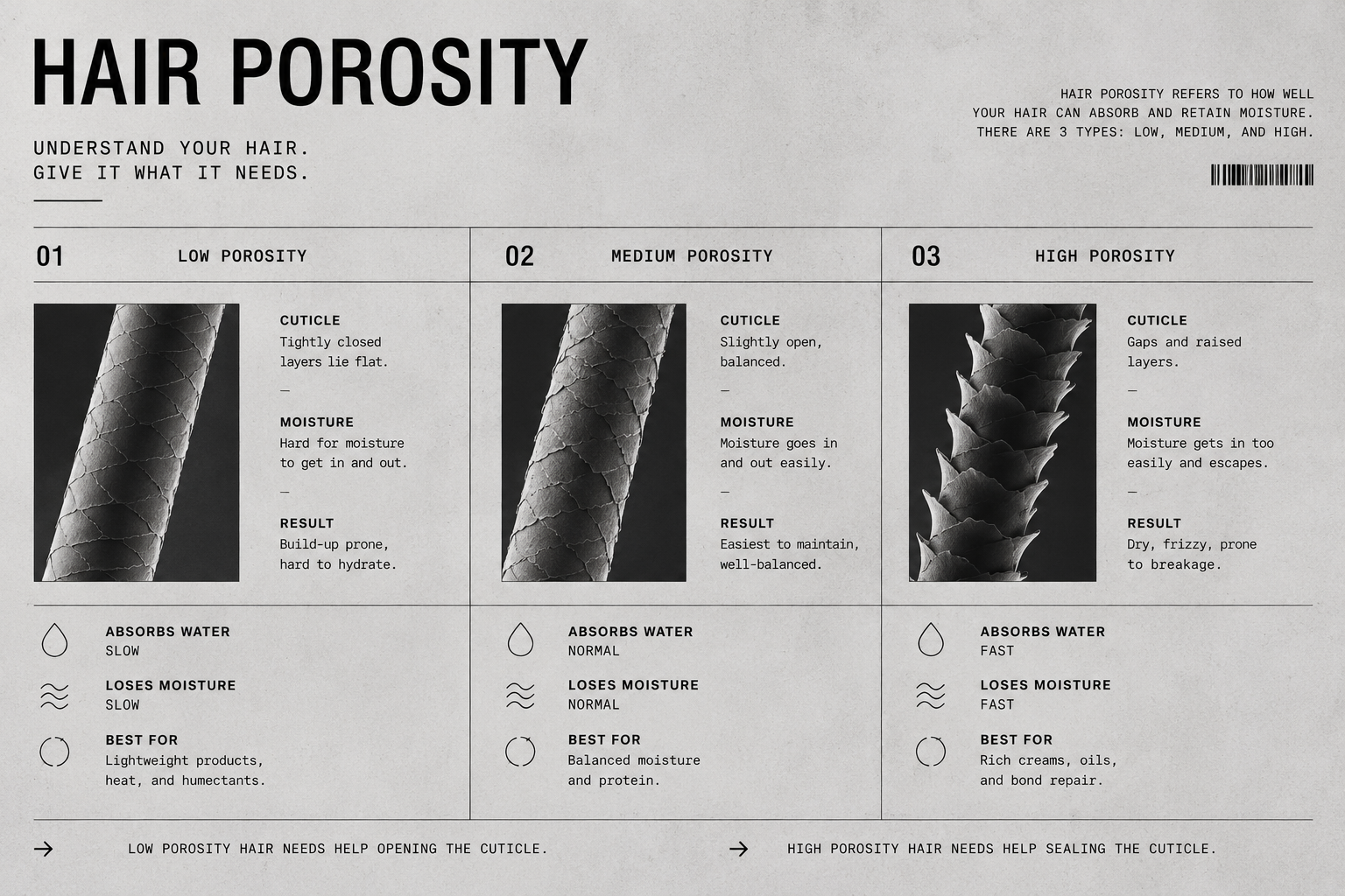 Hair Porosity Explained