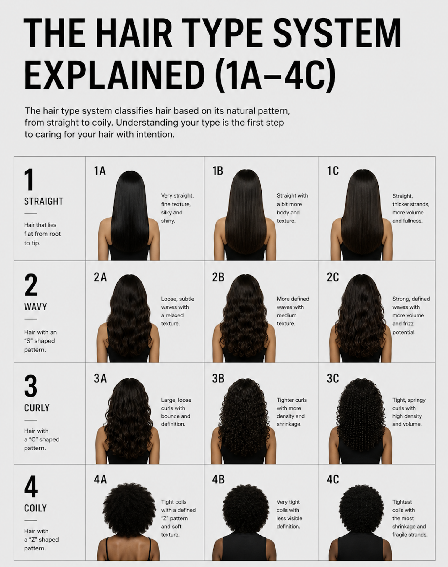 The Hair Type System Explained (1a&ndash;4c)